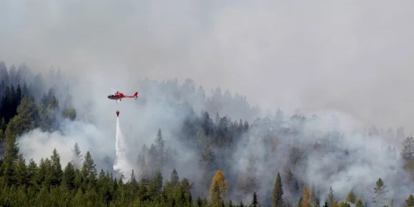 suedia incendiu temperaturi mari FOTO thelocal.se