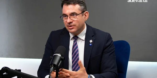 ȘTEFAN PĂLĂRIE 6 mp4 thumbnail png