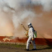 tratamente de plosnite jpg