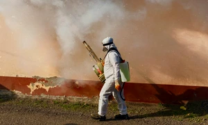 tratamente de plosnite jpg