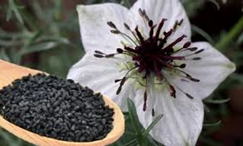 chimenul ngru images jpeg