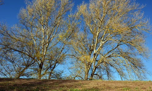 landscape 3783962 1920 jpeg