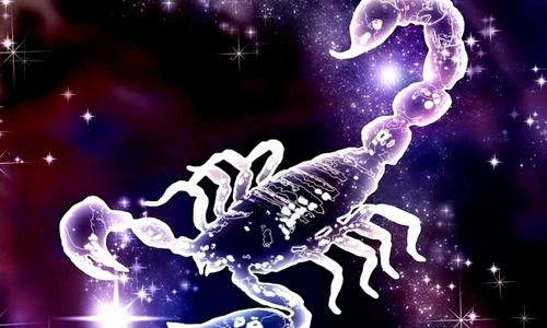 1 scorpion jpg jpeg