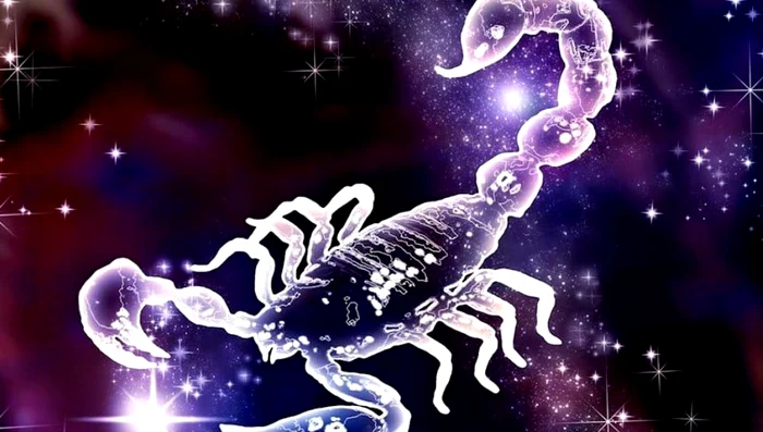 1 scorpion jpg jpeg
