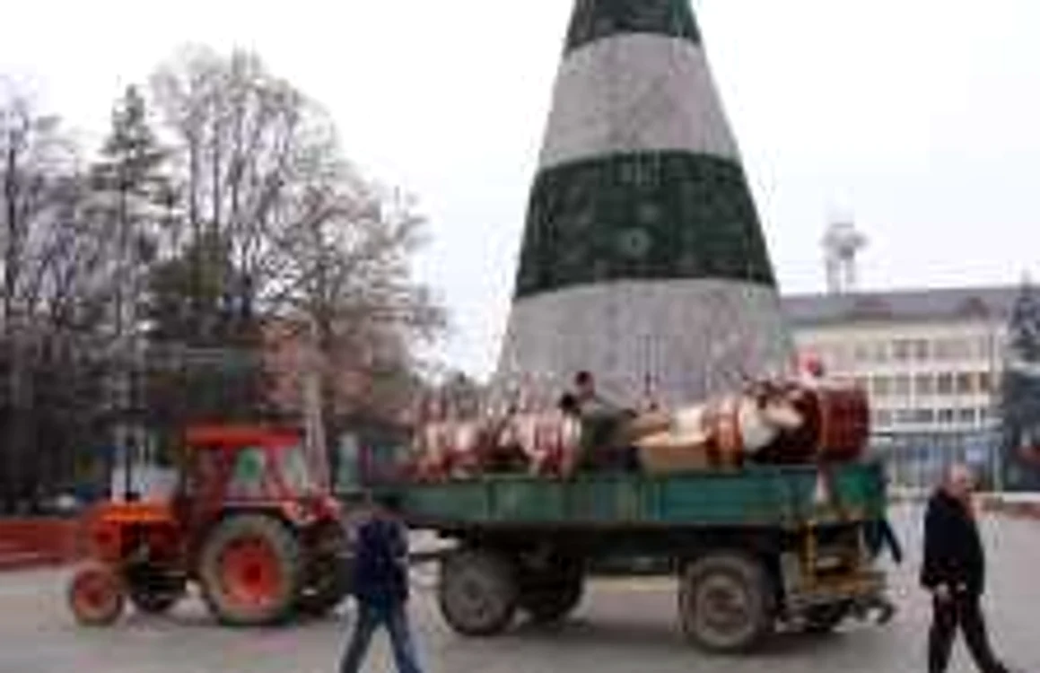 Renii au fost puşi în faţa bradului de Crăciun