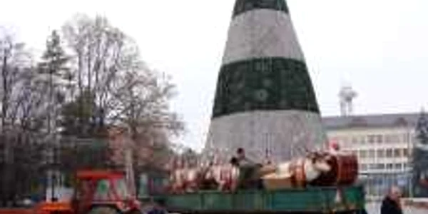 Renii au fost puşi în faţa bradului de Crăciun