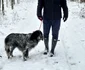 Daniel Buzdugan și-a scos câinele la plimbare