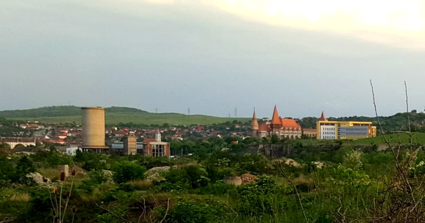 afaceri