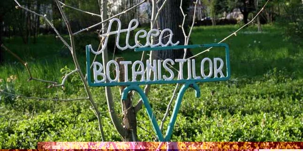 gradina