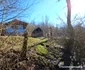 Satul Dănulești din Hunedoara Foto Daniel Guță ADEVĂRUL (46) jpg