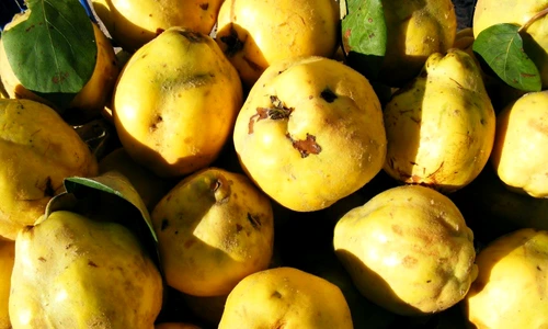 1 71692 original jpg jpeg