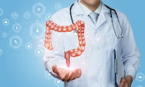 shutterstock 1601719882 jpg