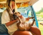 Tanara din Marea Britanie care calatoreste de 3 ani cu rulota, foto Instagram jpg