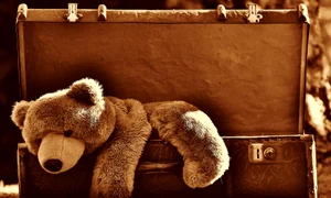 ursulet de plus pixabay jpg