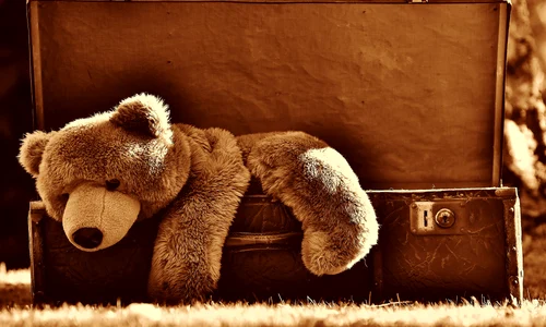 ursulet de plus pixabay jpg