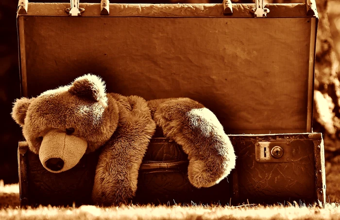 Porecla unui președinte american a devenit numele îndrăgitului ursuleț de pluș / foto: Pixabay