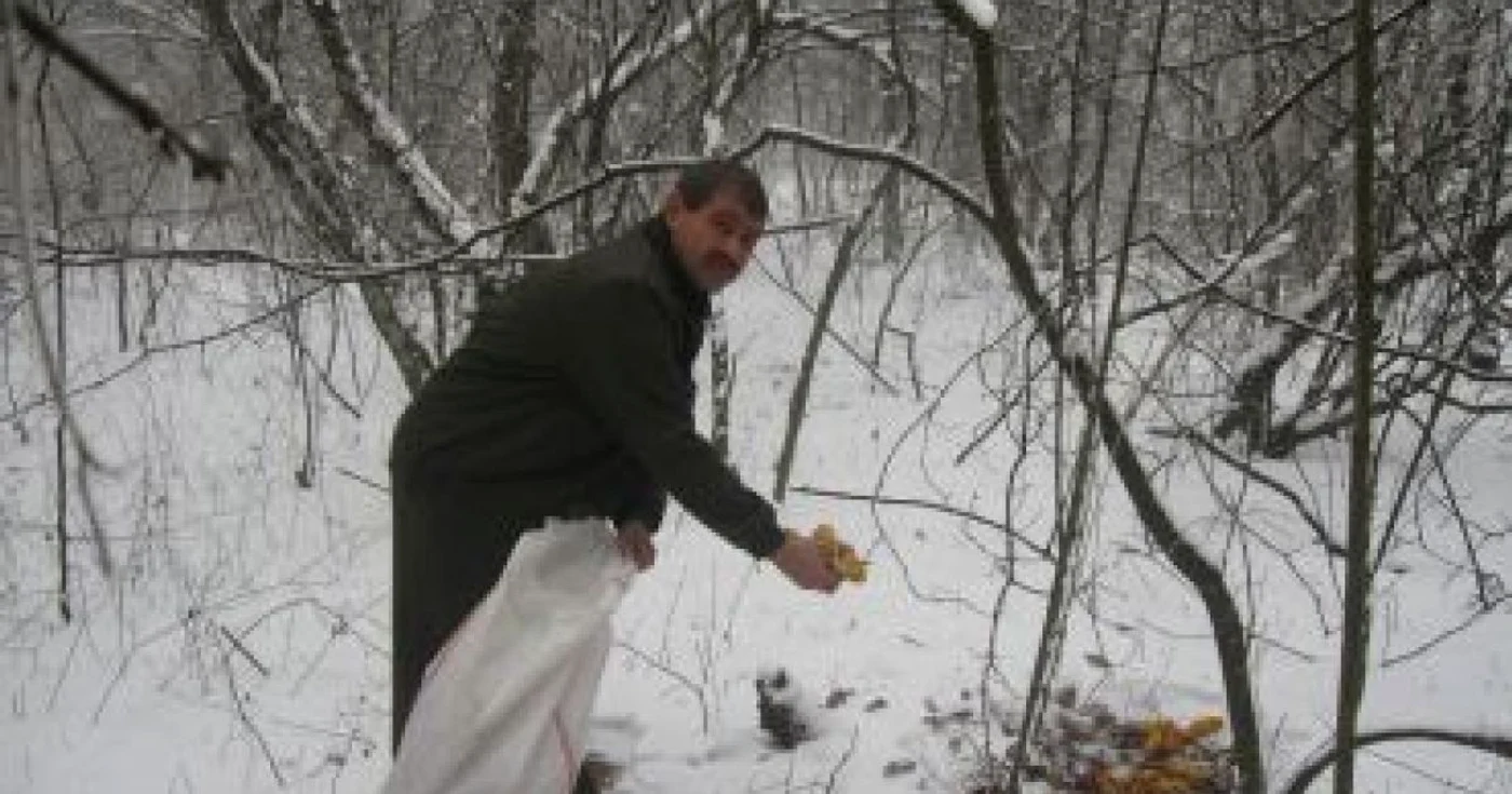 Ion Bălan a dus astăzi câţiva saci de porumb în fondul de vânătoare