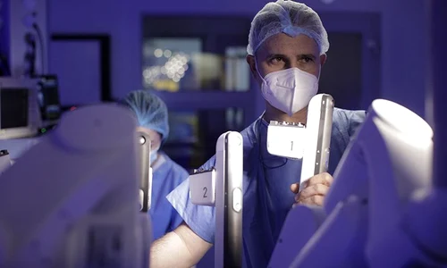 1 conf gingu jpg jpeg