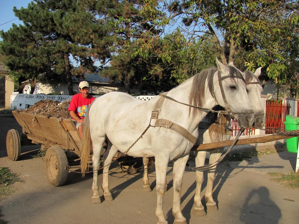 Bani pentru infrastructura rurală Foto:Arhivă Adevărul