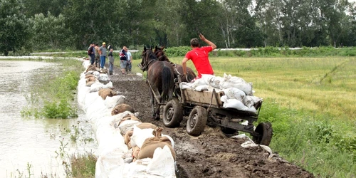 Aici trebuia făcut un dig care să apere Barboşiul şi noua staţie de euprare. Nu s-a făcut!