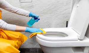 shutterstock 2365516305 jpg