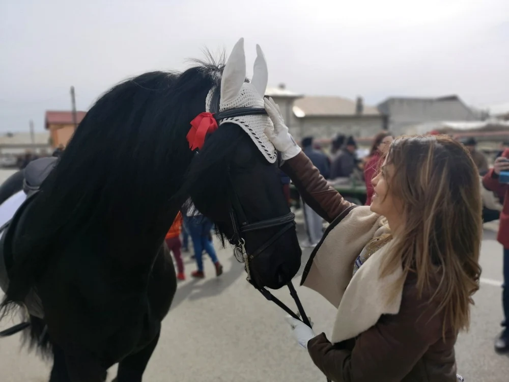 pastele cailor 2019