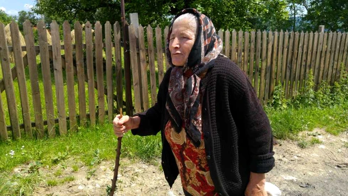 Satul Meişoare