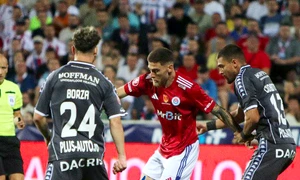 otelul rapid jpg