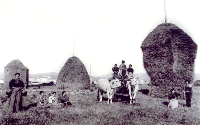 Anul Nou se sărbătorea primăvara FOTO CIMEC