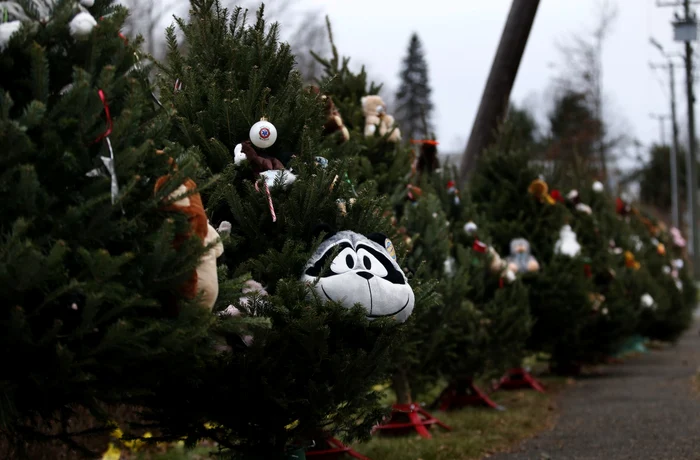 26 de băduţi au fost puşi în oraş, în memoria victimelor FOTO Reuters