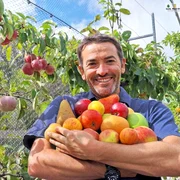 Recolta pomilor fructiferi Foto Leaf, Root & Fruit Garden jpg