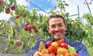 Recolta pomilor fructiferi Foto Leaf, Root & Fruit Garden jpg