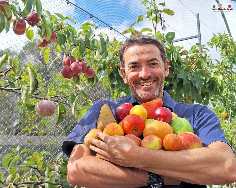 Nu cumpăra pomi și arbuști fructiferi până nu vezi: Top 7 alegeri sigure pentru recolte bogate + ghid complet 2026