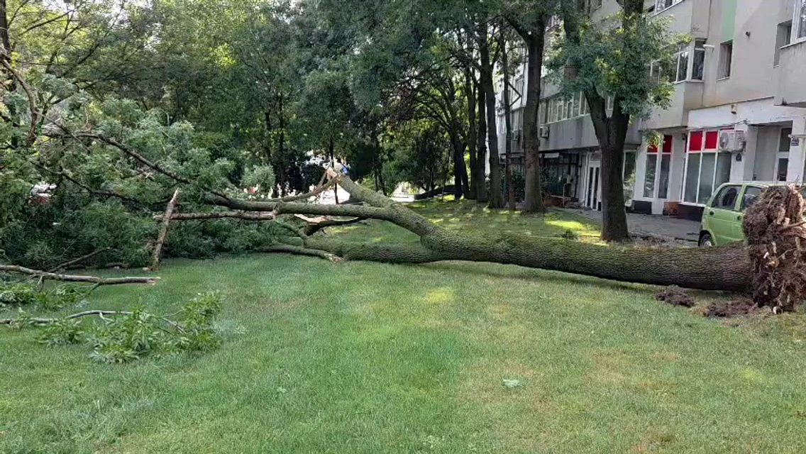 efecte vijelie slatina, vinenri, 7 august 2026   foto isu olt (1) mp4 thumbnail png