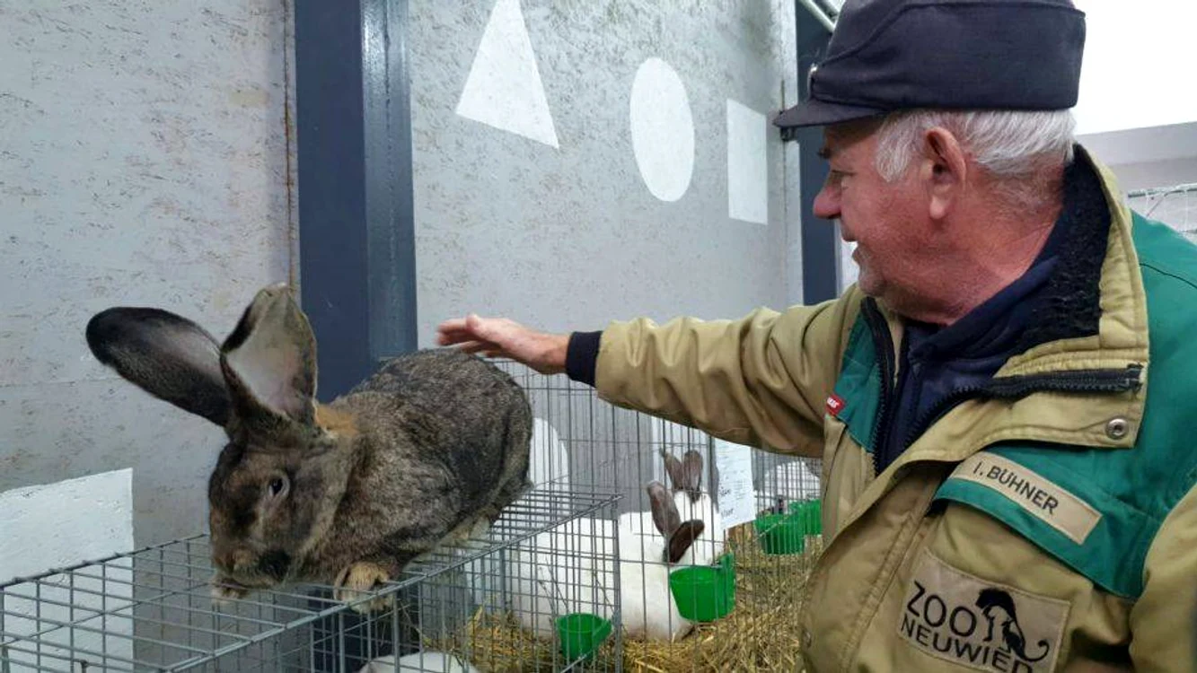 Crescătorul la expoziția din comuna în care locuiește FOTO Adevărul