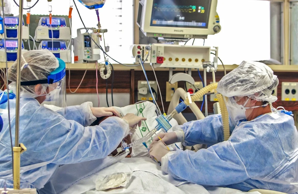 Simptomele infecției cu Candida Auris, ciuperca rezistentă care se răspândește rapid în Europa