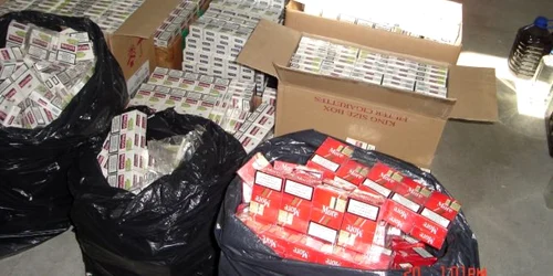 Ţigările de contrabandă au fost aduse din Bulgaria 