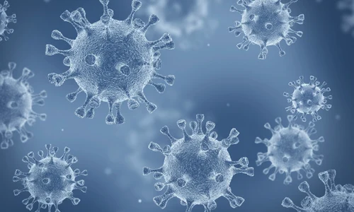 coronavirus jpeg