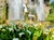 vila d este IMG20220524160541 jpg