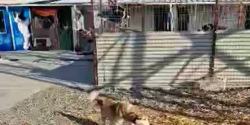 10000000 5814599955317848 6661388373916783119 n (1) mp4 thumbnail png