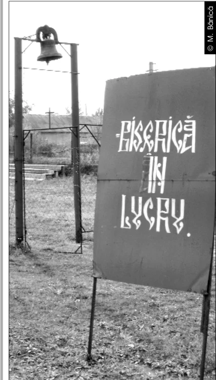 Cu ochii n 3,14 jpeg