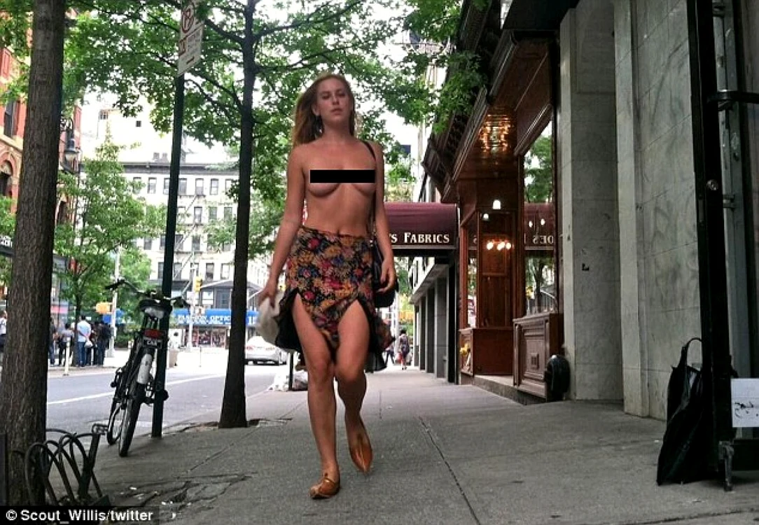 scout willis daily mail