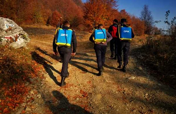 incendiu alba