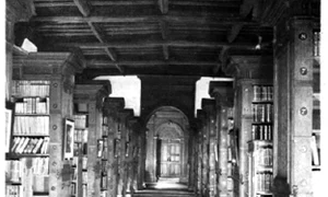 Matrioşka şi Bologna gif