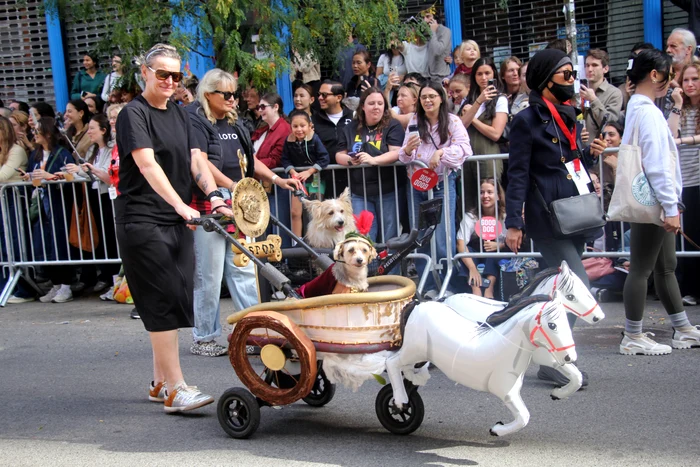 Mii de animale au participat la parada din New York (Foto: Profimedia)