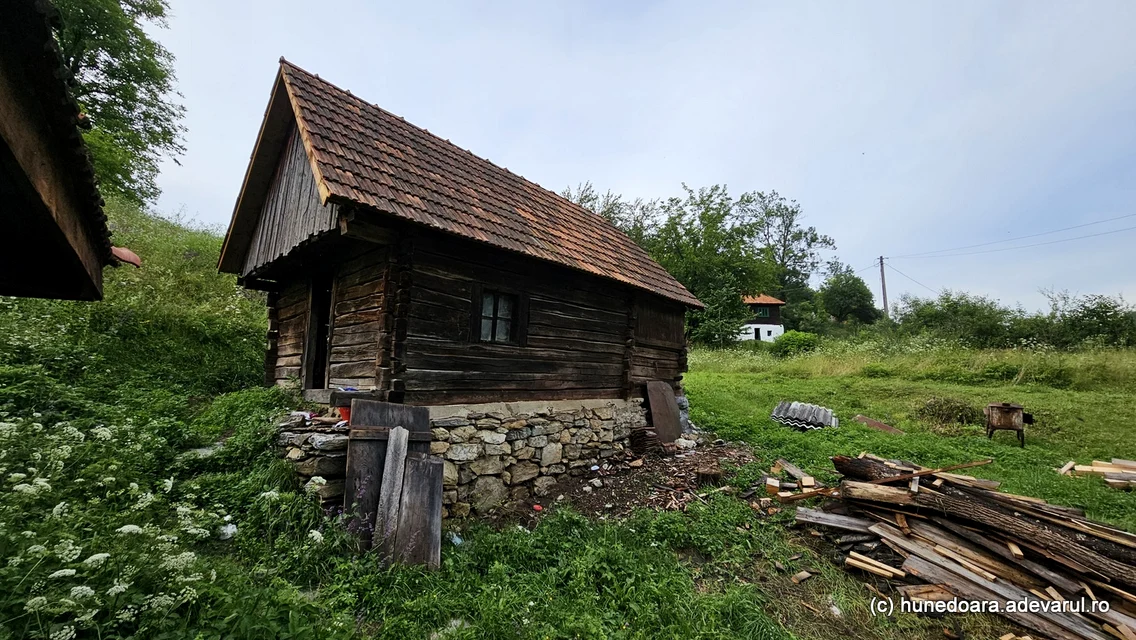 Runcu mare foto Daniel Guță (122) jpg