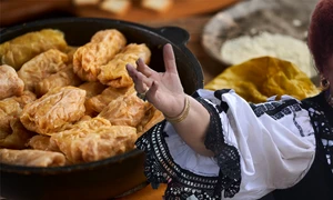 banner elena merisoreanu png