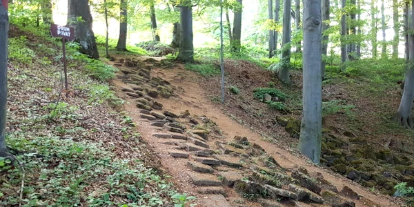 cetatea dacica piatra rosie foro 