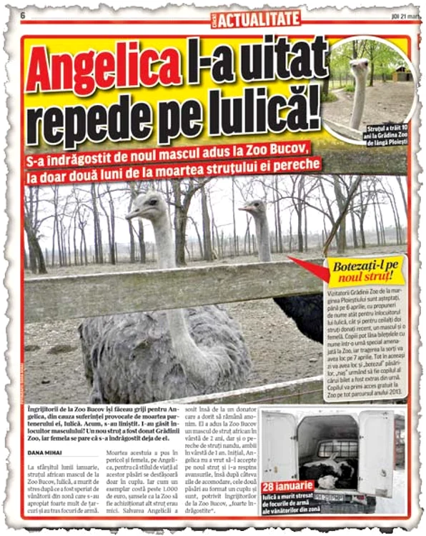 «Naşii» au primit  bilete gratuite la Zoo (FOTOGRAFII: Dana Mihai )