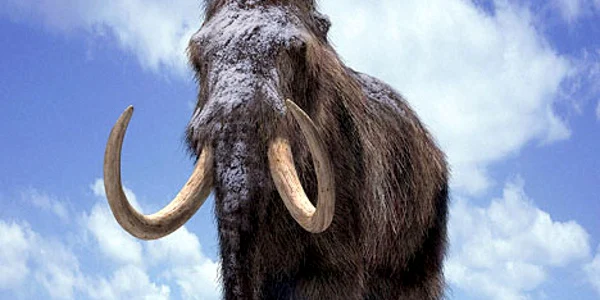 FOTO: dailymail.co.uk